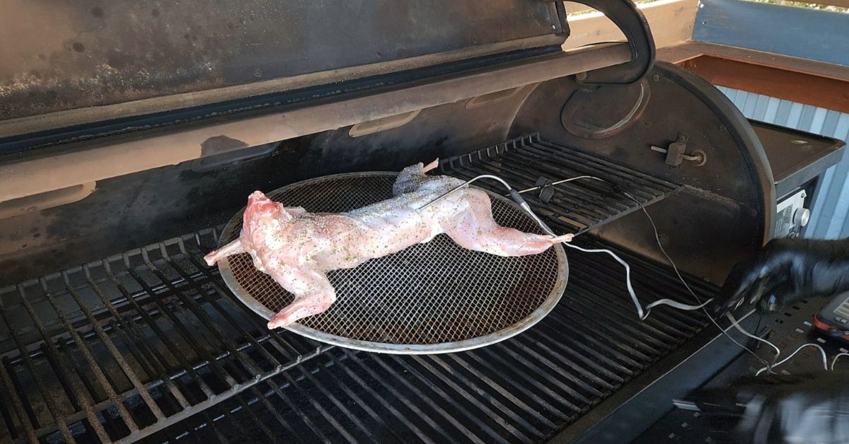Place the Rabbit on the Grill