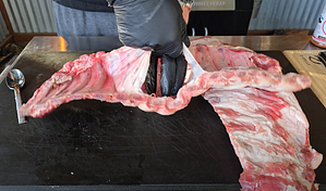 Removing the membrane from ribs to prepare for grilling.