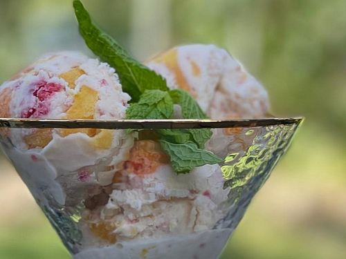 Tutti frutti ice cream maker hot sale